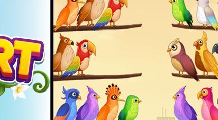  鸟类排序拼图